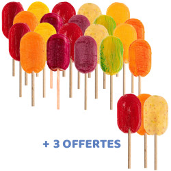 20 Sucettes artisanales aux fruits + 3 offertes